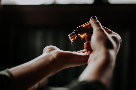 Exploring Wellness The Balance of Body and Mind